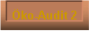  ko-Audit 2 