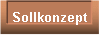  Sollkonzept 
